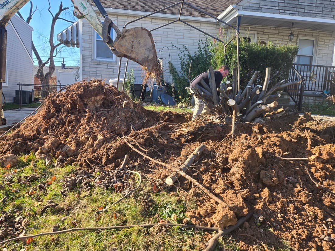 Cleanup & Site Work