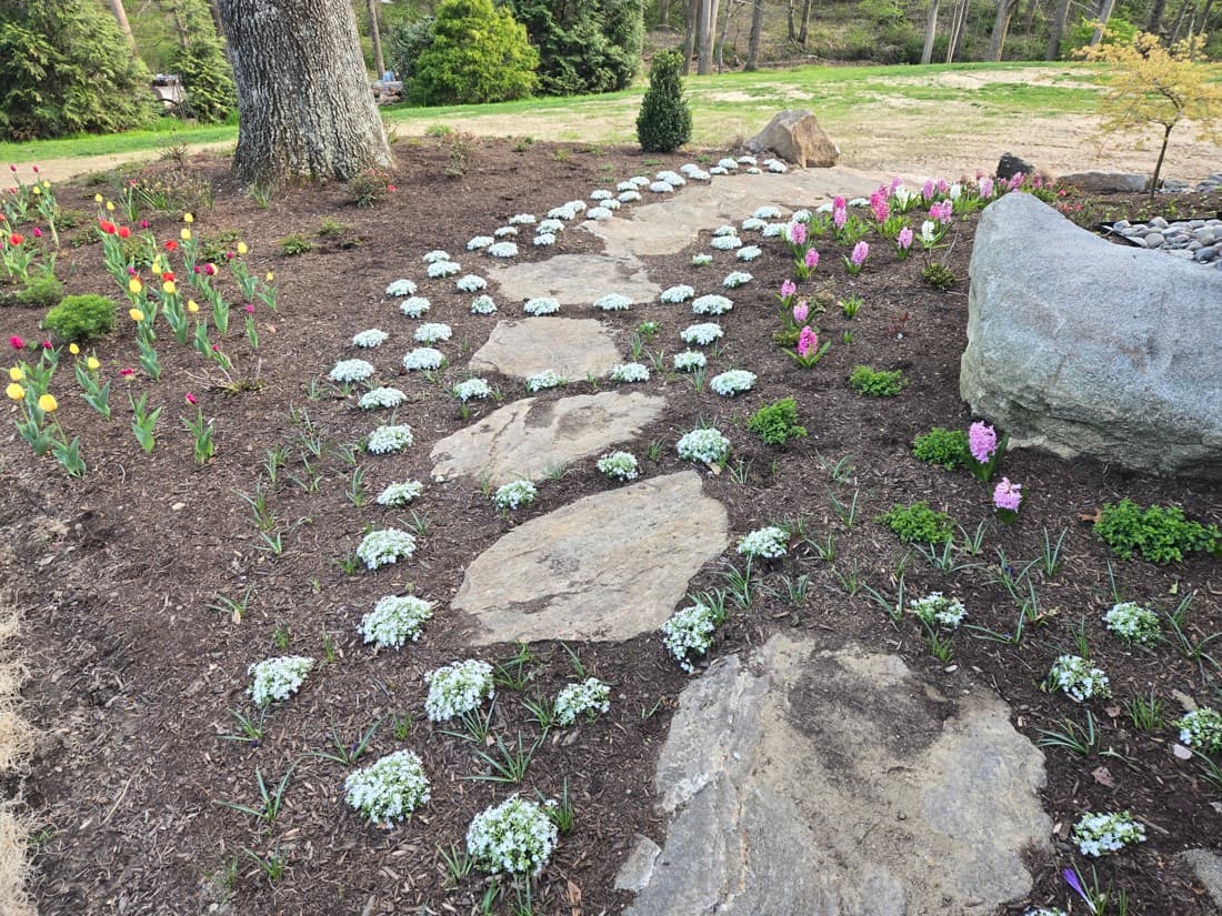 Landscaping & Installation